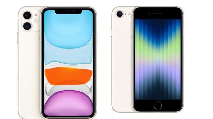 Ilustrasi iPhone 11 dan iPhone SE 3.
