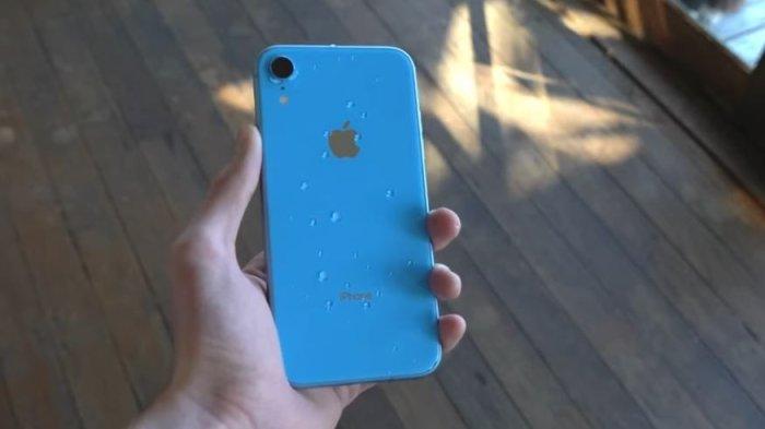 Ilustrasi iPhone XR varian blue.