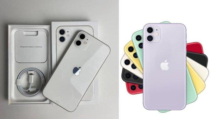 HARGA IPHONE SECOND- Kolase iPhone 11 second resmi iBox di Tokopedia, Selasa (8/7/2025). Berikut