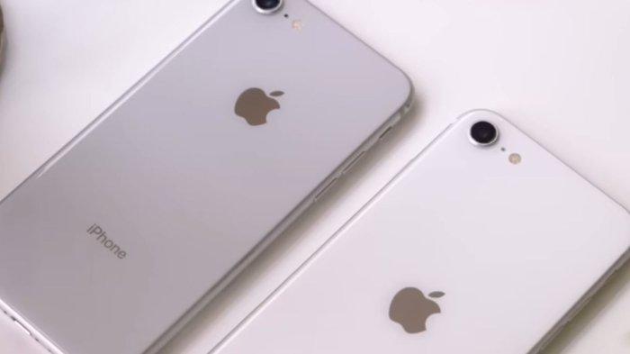 Potret iPhone SE 3 varian warna berbeda.