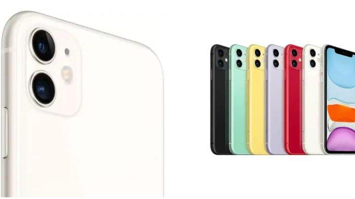 HARGA iPHONE 11- Tangkapan layar HP iPhone 11 dengan varian warnanya di iBox Indonesia, Selasa (11/2/2025). Daftar harga dan kapasitas RAM iPhone 11 yang dijual di iBox.