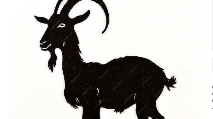 Shio Kambing hitam