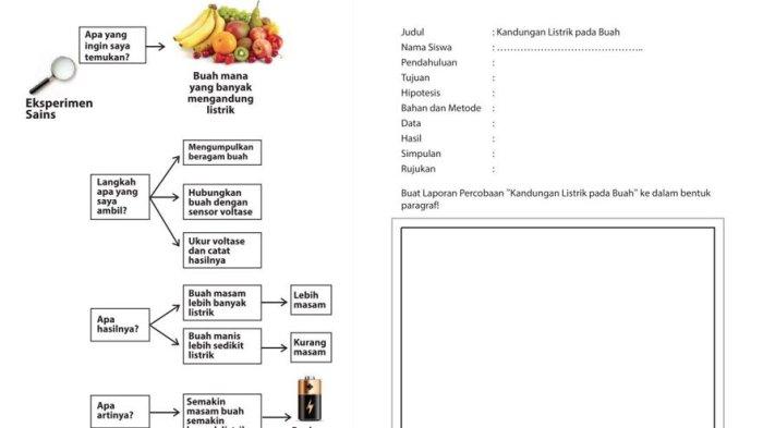 Kunci Jawaban Bahasa Indonesia Kelas 9 Halaman 29 30 31 32 Laporan