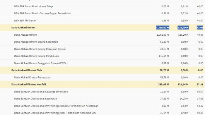 Lampung Timur digelontor dana transfer ke daerah 2025 Rp 1,6 triliun, DAU terbesar
