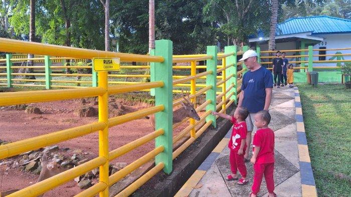 TAMAN MINI ZOO - Pengunjung sedang beri makan Rusa di kawasan taman Mini Zoo Kijang, BintanTimur, Kabupaten Bintan, Kepulauan Riau (Kepri).