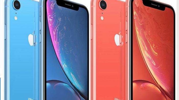 iPhone XR