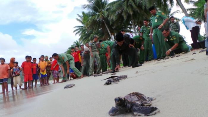 Pelepasan anak penyu sisik beberapa waktu lalu di Pantai Tanjung. Pantai ini menjadi bagian dari destinasi wisata Kepri di Natuna.
