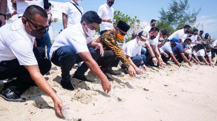 Bupati Bintan Roby Kurniawan melepas penyu di pesisir pantai Trikora Beach Club, Minggu (11/4/2021).