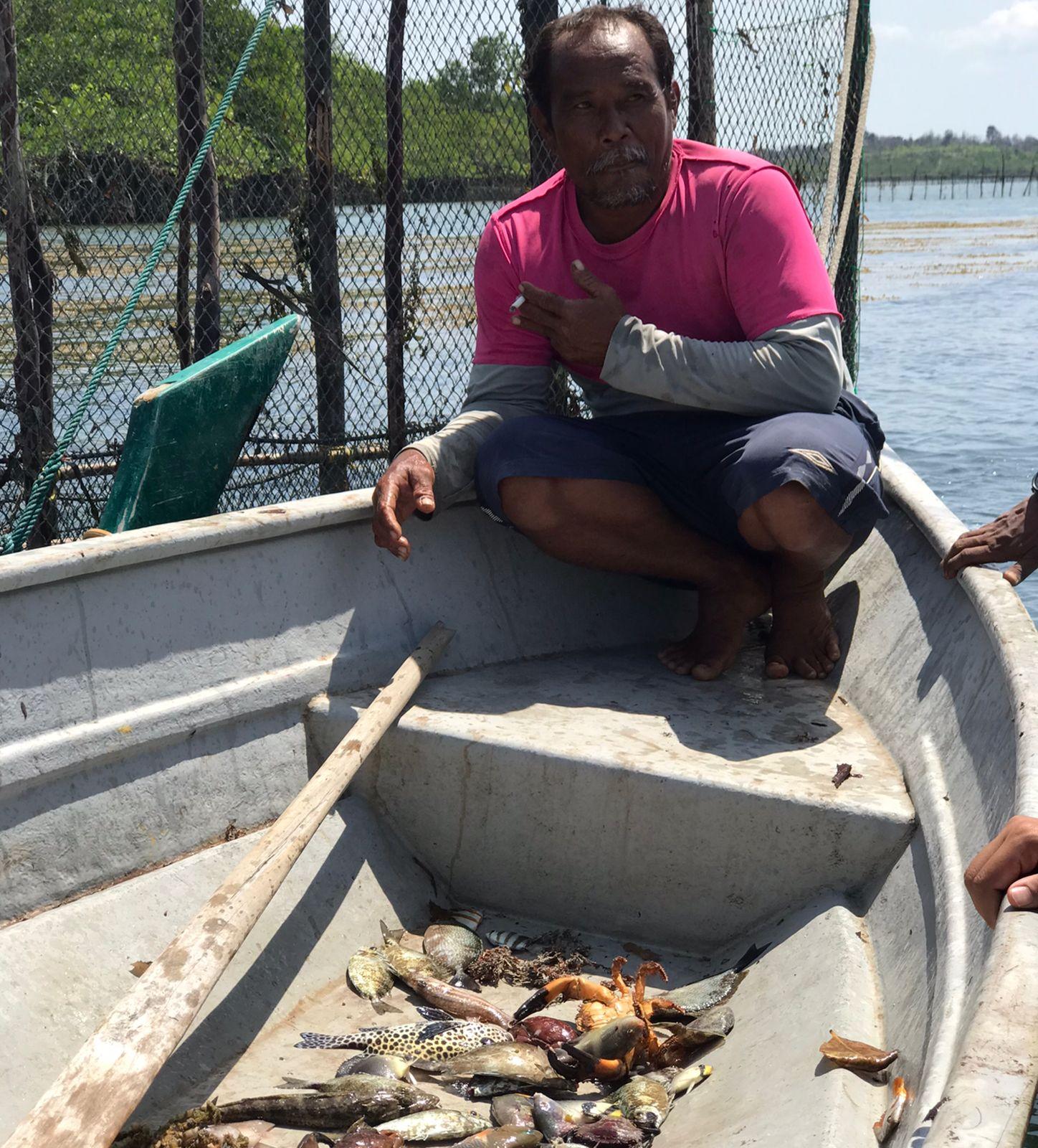 Nelayan berburu ikan dingkis ke kelong 