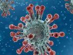 ilustrasi-virus-corona-n439k-ok.jpg