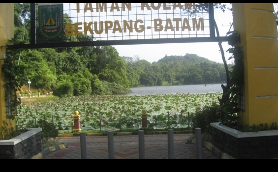 Tempat Rekreasi Alternatif Keluarga di Sekupang - Tribunbatam.id