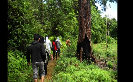 Jalan setapak harus ditempuh sekitar 1 kilometer menjadi akses menuju Air Terjun Gunung Lengkuas yang terletak di kelurahan Gunung Lengkuas kecamatan Bintan Timur kabupaten Bintan kondisinya masih alami berada di kawasan hutan lindung, kilometer 22 dari Tanjungpinang.