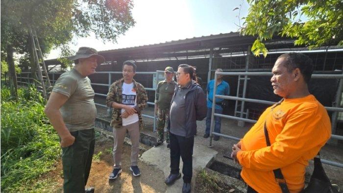 Peninjauan peternakan ayam petelur model cluster di Panti Asuhan Siti Hamdana Sjamsoedin yang berlokasi di Desa Palasari, Cijeruk, Kabupaten Bogor, 11 Agustus 2024. Peternakan ayam petelur model cluster ini mendukung program Makan Bergizi Gratis (MBG) dan program ketahanan pangan.