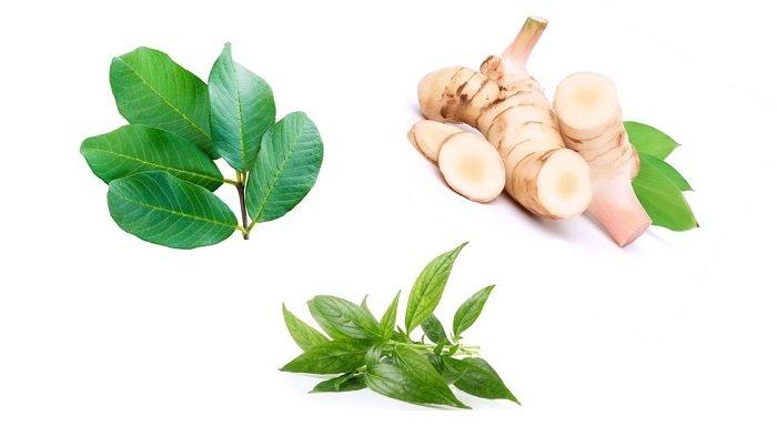 Inilah 3 Obat Herbal Diare, Simak Cara Membuat Ramuan Alami Untuk