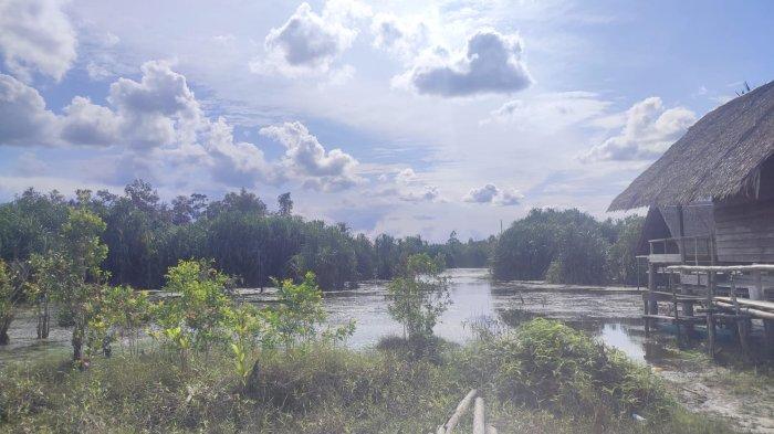 Destinasi wisata Belitung bernama Tebat Rasau di Desa Lintang, Kecamatan Simpang Renggiang, Kabupaten Belitung Timur menyimpan aneka jenis ikan unik dan khas Belitung.