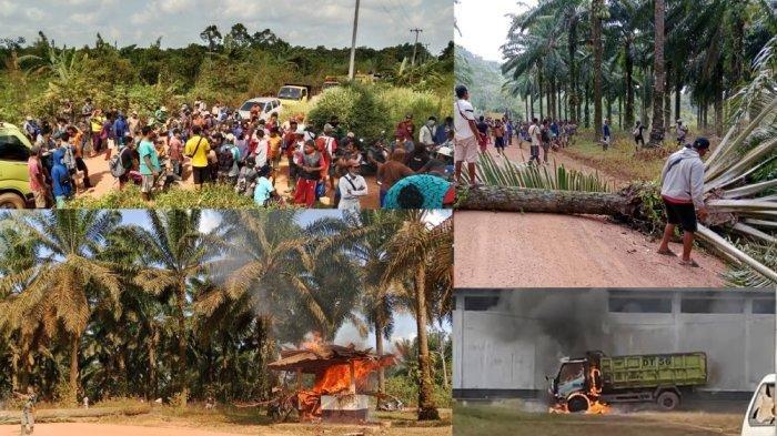 Polemik lahan tak selesai, masyarakat Kecamatan Membalong marah lalu menggelar aksi menebang pohon sawit untuk menghalani jalan masuk ke kantor PT Foresta, dan membakar aset milik perusahaan tersebut. Kamis (17/8/2023).