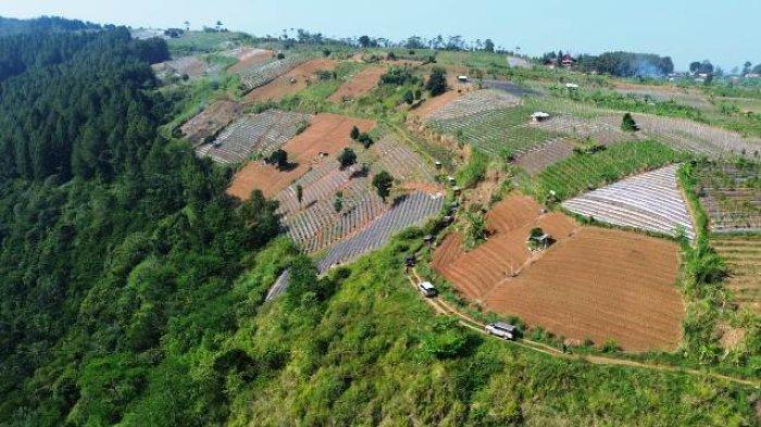 Foto udara Bukit Bodogol.