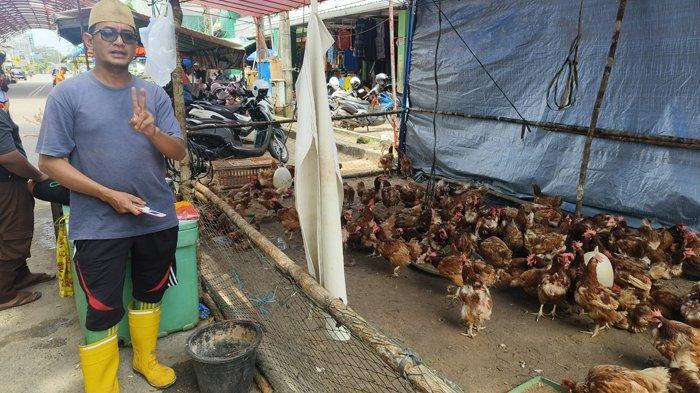 AYAM AFKIR - Yuda, pedagang ayam afkir, mulai membuka lapak di sekitar Pasar Lipat Kajang, Kecamatan Manggar, Kabupaten Belitung Timur, Provinsi Kepulauan Bangka Belitung, pada Selasa (25/3/2025). Menjelang perayaan Idul Fitri 1446 Hijriah, pedagang ayam afkir mulai bermunculan di Pasar Lipat Kajang.