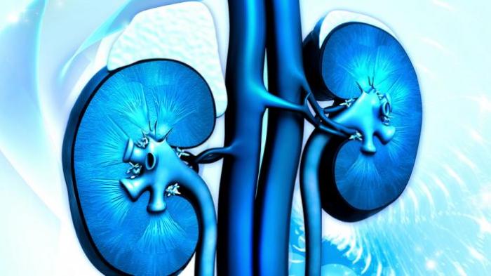 Ilustrasi. Kondisi langka dialami seorang wanita asal India, Minati Mondal (51). Sebanyak hampir 12.000 batu empedu ditemukan dalam tubuhnya. Dokter yang menanganinya pun terkejut.