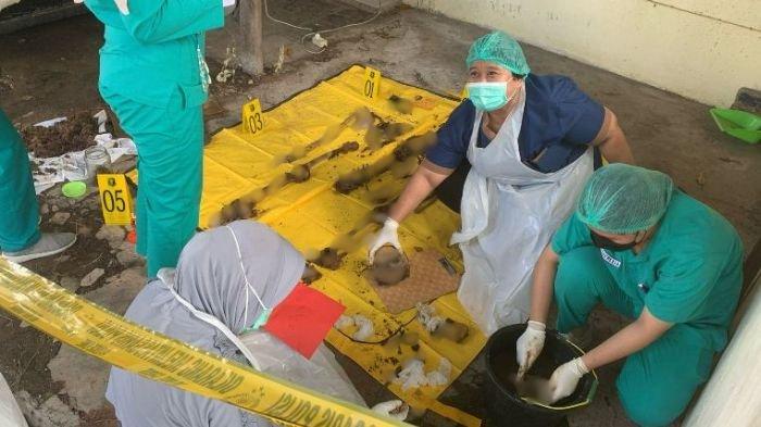 PENEMUAN KERANGKA MANUSIA - Foto kerangka manusia di Gresik yang sedang dibersihkan, Selasa (11/03/2025). 4 siasat Propam Polda Gresik tuntaskan kasus penemuan kerangka manusia di mobil eks Kanit Reskrim, Aipda Yudi Setiawan.