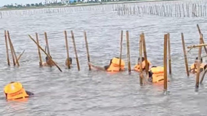 600 orang yang merupakan gabungan dari anggota TNI Laut dan masyarakat sekitar membongkar pagar laut di Kawasan Tanjung Pasir, Kabupaten Tangerang, Banten pada Sabtu (18/1/2025).