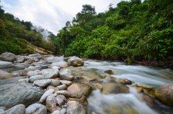 Sungai di tempat wisata Bengkulu Air putih memiliki pemandian air panas alami.