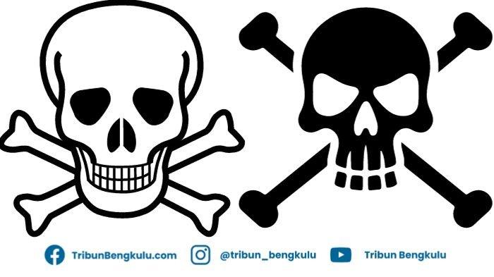 Berita Arti Emoji Tengkorak Terbaru Hari Ini - Tribunbengkulu.com