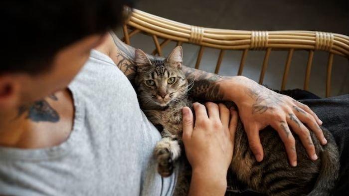 Arti mimpi Kucing Hamil dan Melahirkan