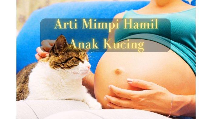 Ilustrasi arti mimpi hamil anak kucing, aneh atau menyeramkan?.