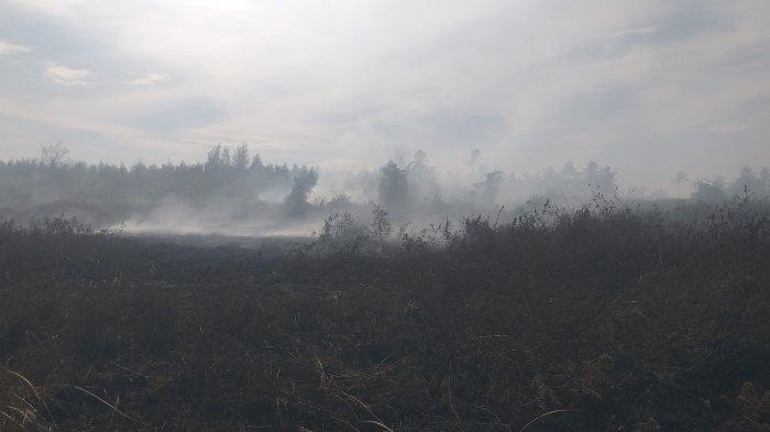 Penampakan puluhan hektare lahan terbakar di Sungai Hitam Kota Bengkulu, Selasa (19/12/2023) siang