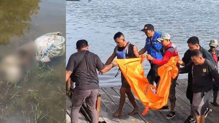 PENEMUAN MAYAT DALAM KARUNG - Kolase foto mayat dalam karung (kiri) dan proses evakuasi (kanan). Niat awal hanya untuk mencari umpan, sekelompok pemancing justru dibuat syok setelah menemukan mayat dalam karung yang mengapung di Muaro Jenggalu, Kota Bengkulu, Minggu (20/4/2025) pagi.
