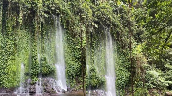 Engkuli Raras 5 Rekomendasi Air Terjun Terdekat di Bengkulu Utara, Surga Tersembunyi ...