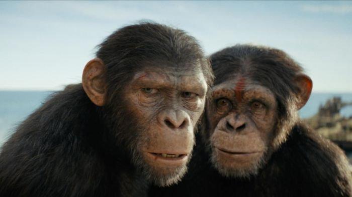 Ilustrasi sinopsis film Kingdom of the Planet of the Apes yang tayang Mei 2024.