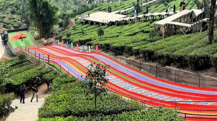 Agrowisata Gunung Mas, wisata alam di Puncak Bogor dengan beragam wahana, bisa bermain di tengah kebun teh salah satunya rainbow slide. ()