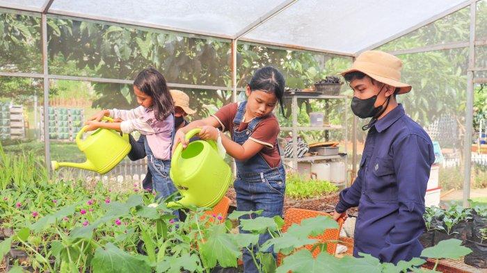 TEMPAT WISATA BOGOR - Selain pengunjungnya bisa menikmati wahana yang tersedia, pengunjung dapat edukasi kelas menanam tanaman yang akan dipandu langsung untuk tahapannya oleh pemandu yang kompeten.