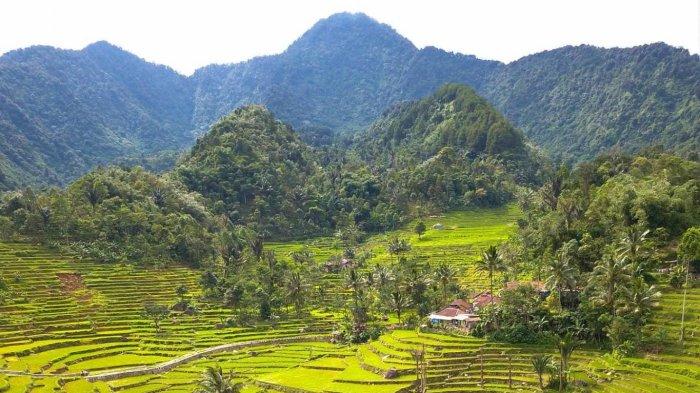 Desa Wisata Purwabakti merupakan tempat wisata di Bogor yang dianugerahi bentangan alam pegunungan, sungai, dan persawahan yang eksotik.
