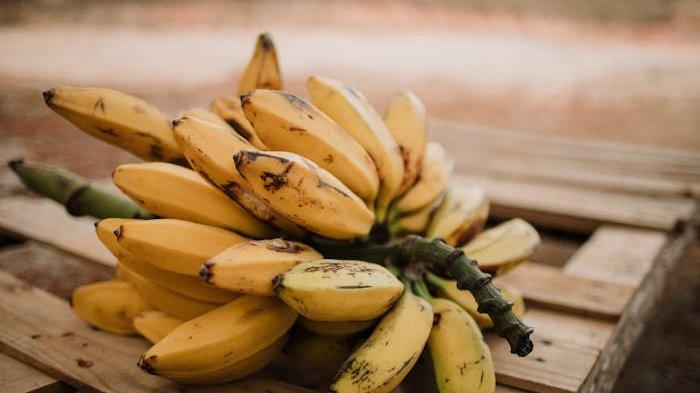 ILUSTRASI buah pisang
