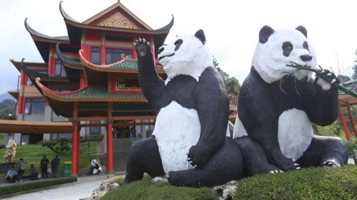 Di tempat wisata Istana Panda Bogor ini, pengunjung bisa melihat sepasang panda hitam putih asli dari China dan enam panda merah yang berada di kandang berbeda.