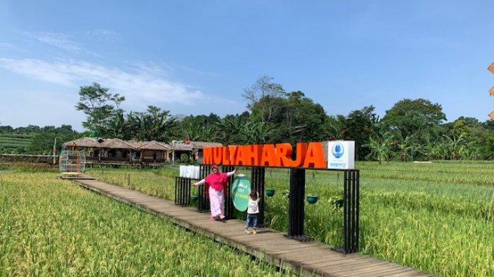 Kampung Tematik Mulyaharja, Kamis (30/6/2022).