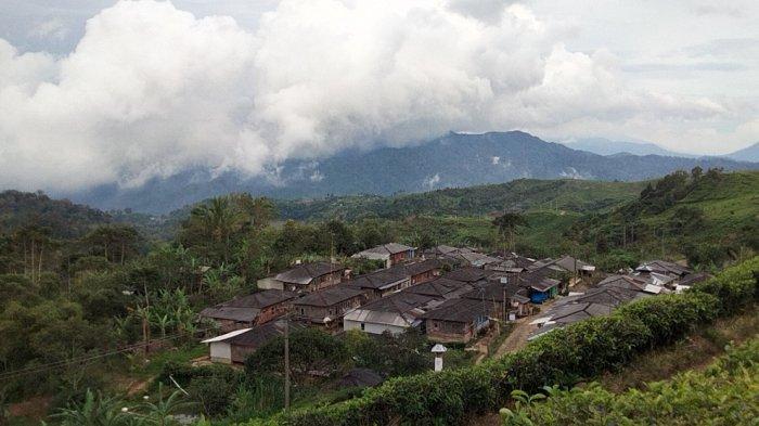 Rumah Tokyo Malani, terbuat dari anyaman bambu dan kayu serta terletak di tengah kebun the membuat tempat wisata di Bogor ini suguhkan vibes di Jepang. 