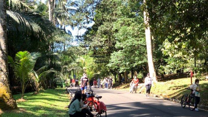 Kebun Raya Bogor merupakan salah satu destinasi wisata favorit di Kota Bogor, Sabtu (9/7/2022).