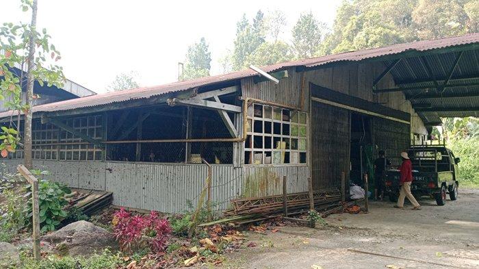 Pabrik Teh Gunung Mas, Kecamatan Cisarua, Kabupaten Bogor, (23/8/2023).