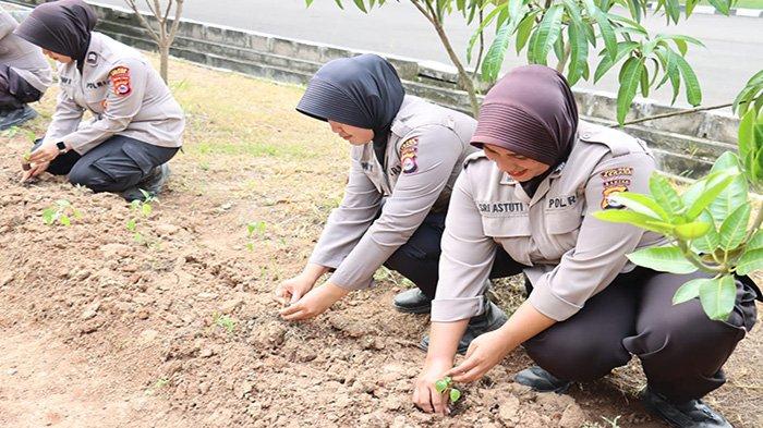 Polwan yang bertugas di Polres Serang menanam cabai di lahan tidur di areal Mapolres Serang dalam kegiatan Minggu menanam yang digagas Kapolres Serang, AKBP Condro Sasongko.
