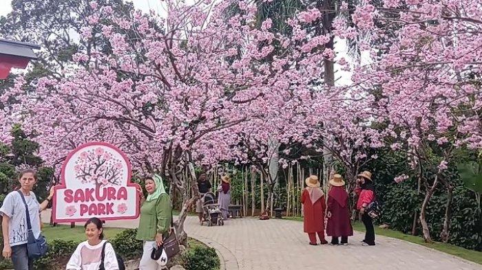 MiniMania, Jalan Raya Puncak, Desa Cibogo, Kecamatan Megamendung, Kabupaten Bogor, Rabu (13/12/2023).