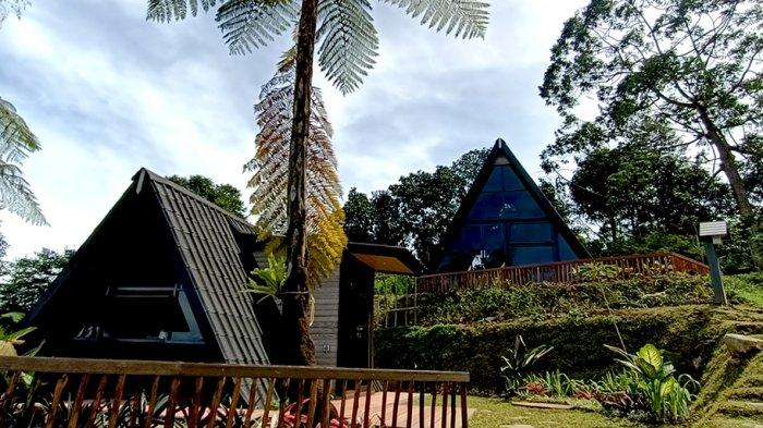 Di Nebula Glamping, kamu bisa berkemah di tengah alam dengan cara modern yang nyaman dan fasilitas lengkap, di antaranya peralatan BBQ.
