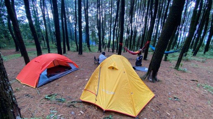 Panorama Pinus Pasiran Tengah bisa jadi destinasi wisata yang lokasinya tak jauh dari Kota Bogor.