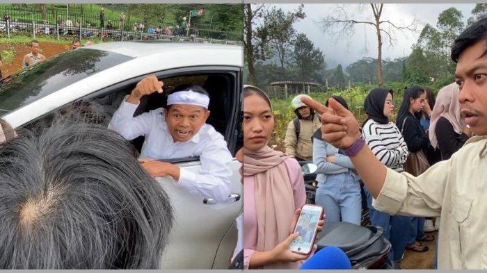 HIBISC FANTASY DIBONGKAR - Langkah tegas Gubernur Jawa Barat, Dedi Mulyadi membongkar objek wisata Hibisc Fantasy Puncak Bogor, menuai gelombang protes.