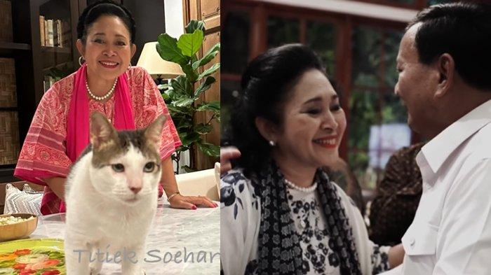 Momen Prabowo Titiek Cipika-Cipiki Usai Menang Pilpres 2024, Tak ...