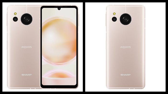 HP SHARP - Sharp AQUOS sense8 warna Light Cooper