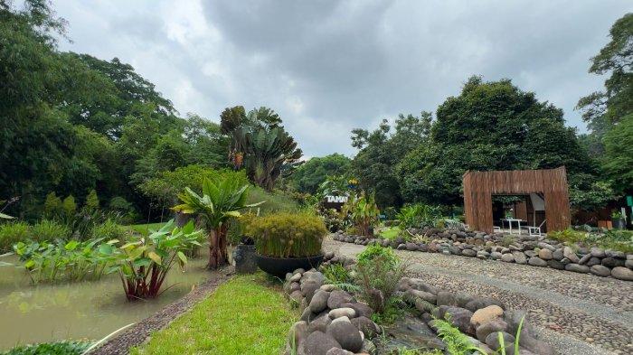 
TEMPAT WISATA BOGOR - Suasana Taman Akuatik di Kebun Raya Bogor, pada Maret 2025. Taman ini menawarkan pemandangan asri dengan beragam tanaman air serta fasilitas gazebo untuk bersantai di tengah alam. 

